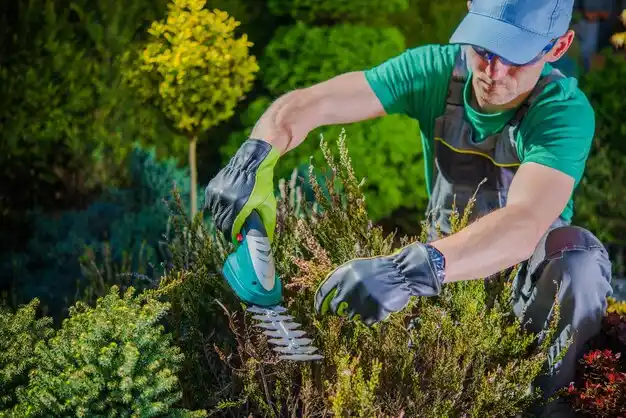 landscaping services North Ballston Spa